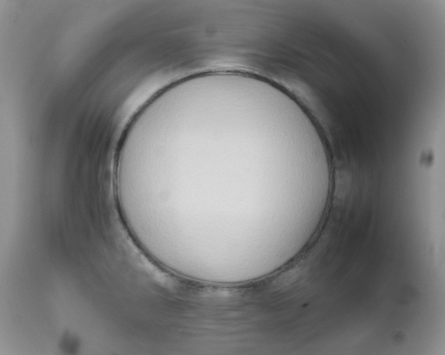 X0000111901286200908171230