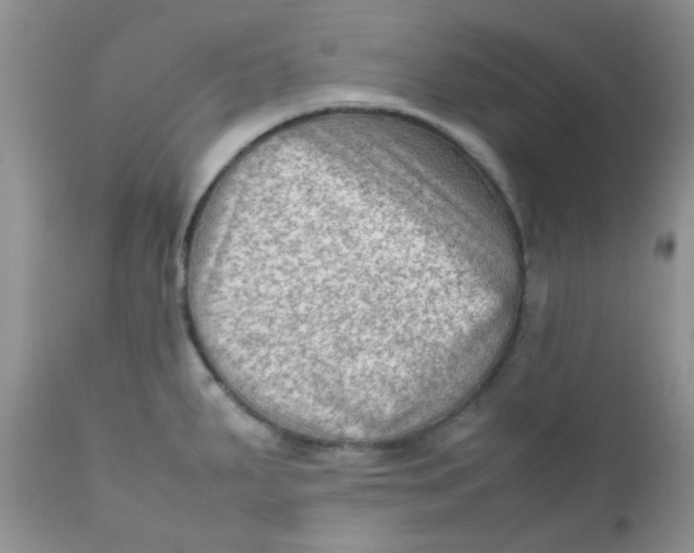 X0000111901287200908171230