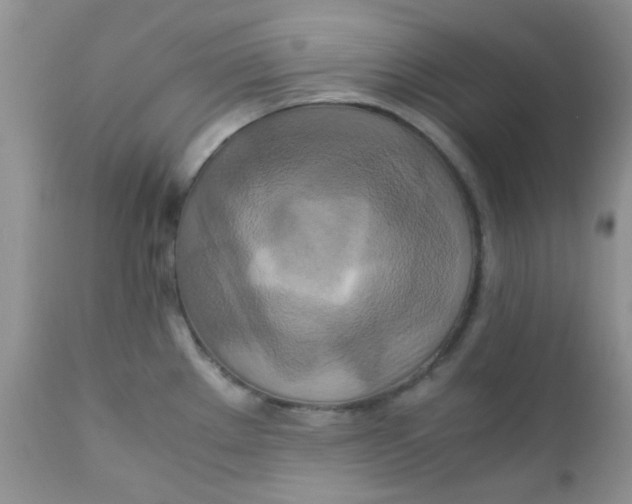 X0000111901289200908171230