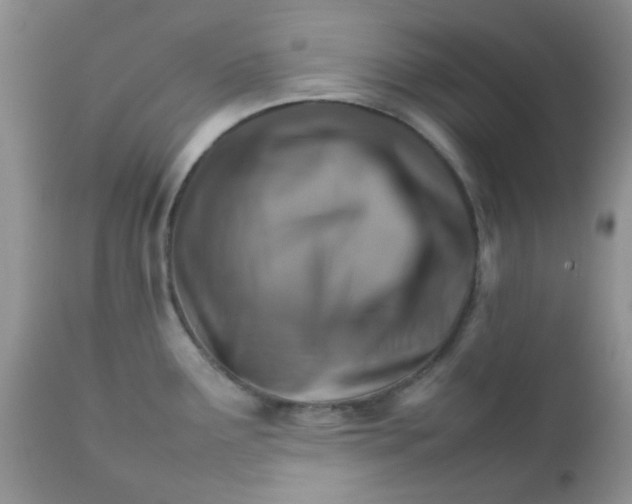 X0000111901291200908171230