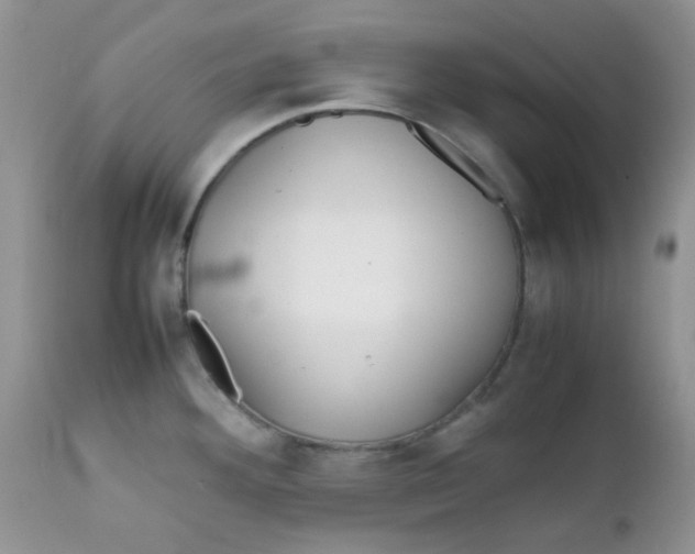 X0000111901292200908171230