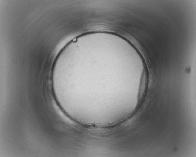 X0000111901293200908171230