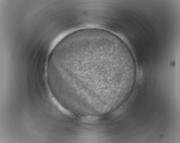 X0000111901294200908171230