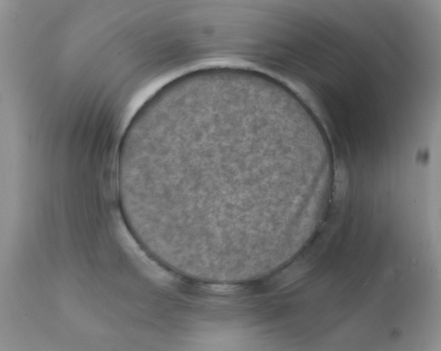 X0000111901295200908171230