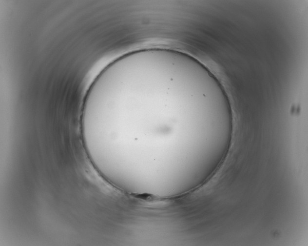 X0000111901296200908171230