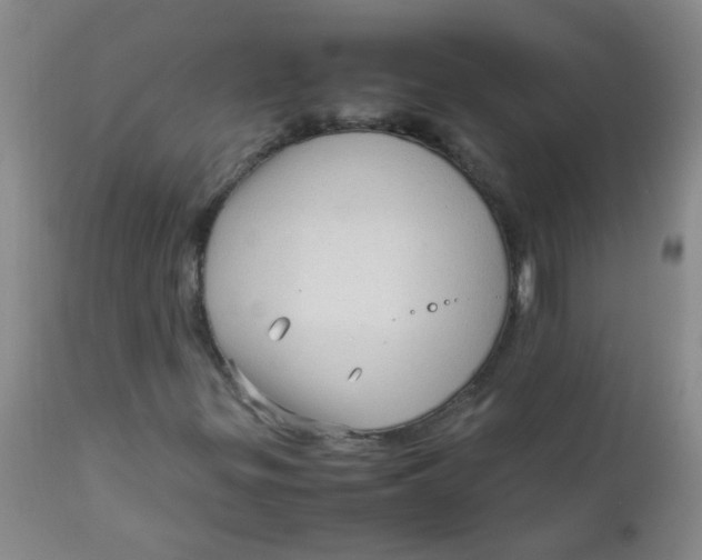 X0000111901299200908171229