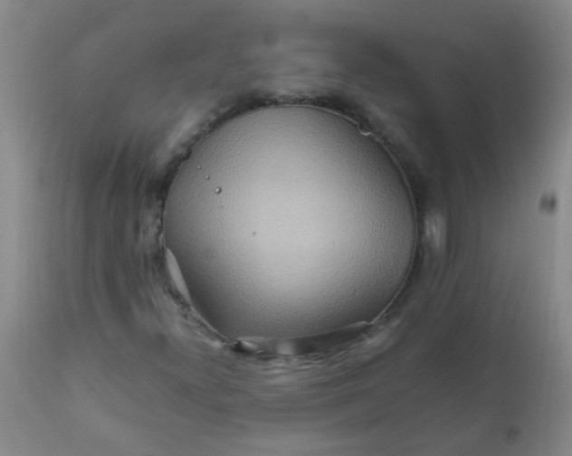 X0000111901300200908171229