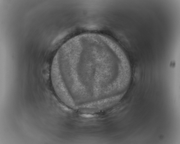 X0000111901301200908171229