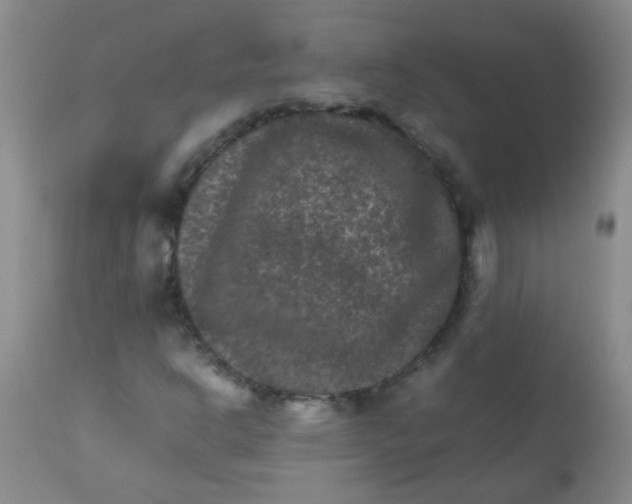 X0000111901302200908171229