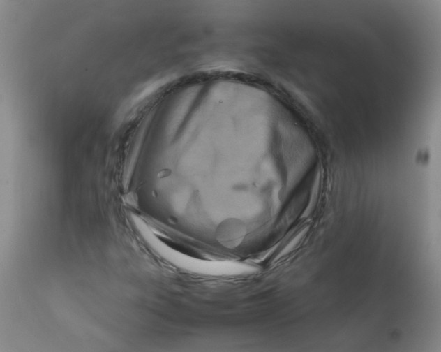 X0000111901303200908171229