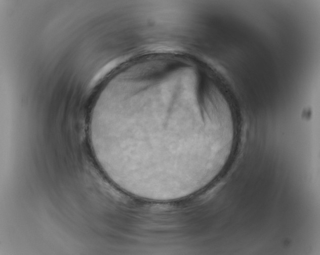 X0000111901306200908171229