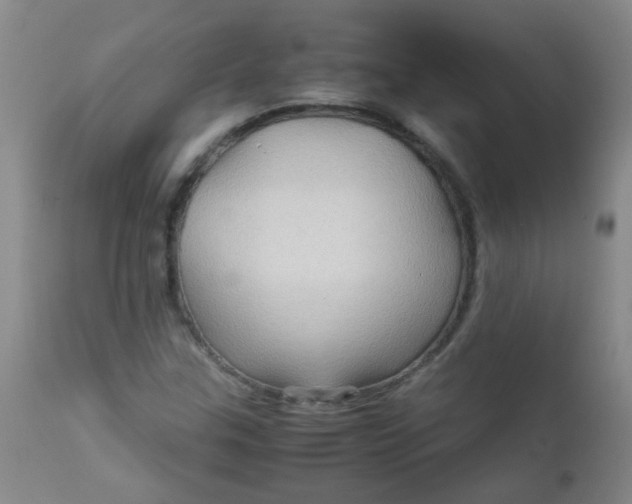 X0000111901307200908171229