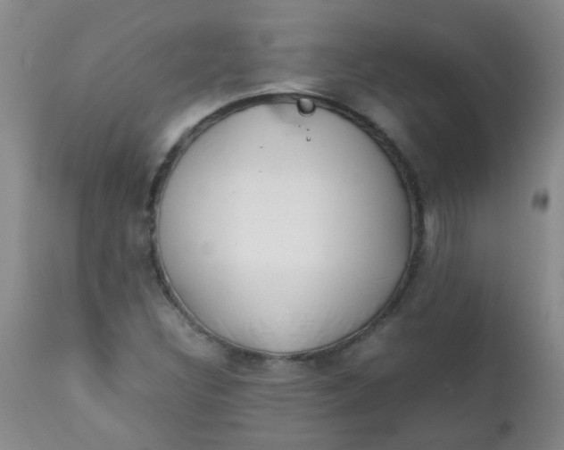 X0000111901308200908171229