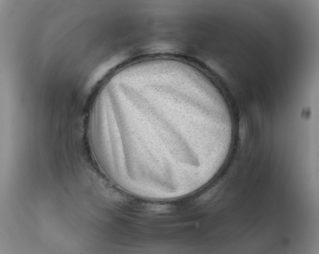 X0000111901309200908171229