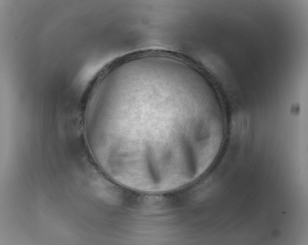 X0000111901310200908171229