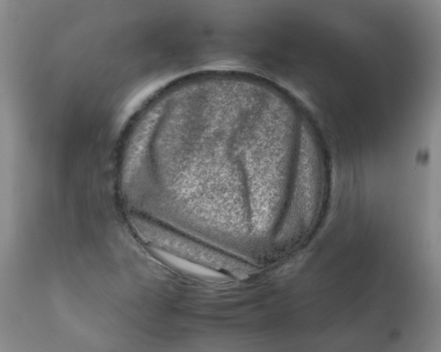 X0000111901311200908171229