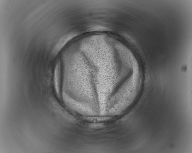 X0000111901313200908171229