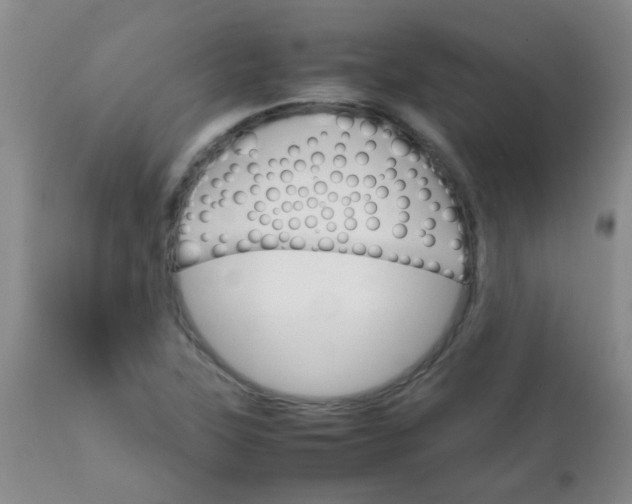 X0000111901315200908171229