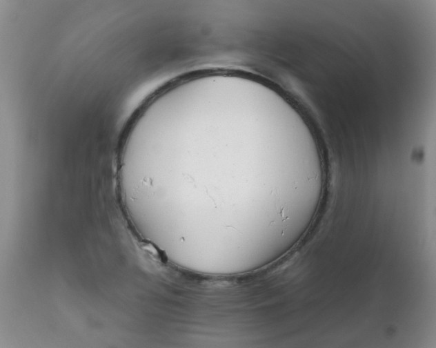 X0000111901320200908171229