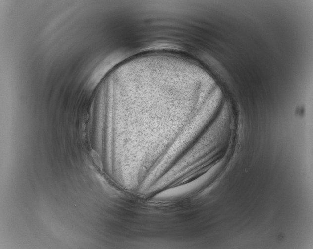 X0000111901321200908171229