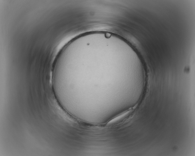 X0000111901324200908171229