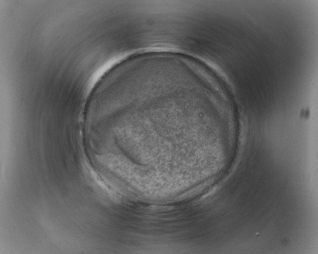 X0000111901325200908171229