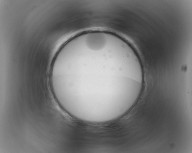 X0000111901327200908171229