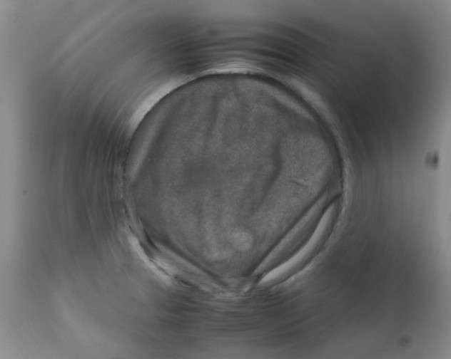 X0000111901329200908171229