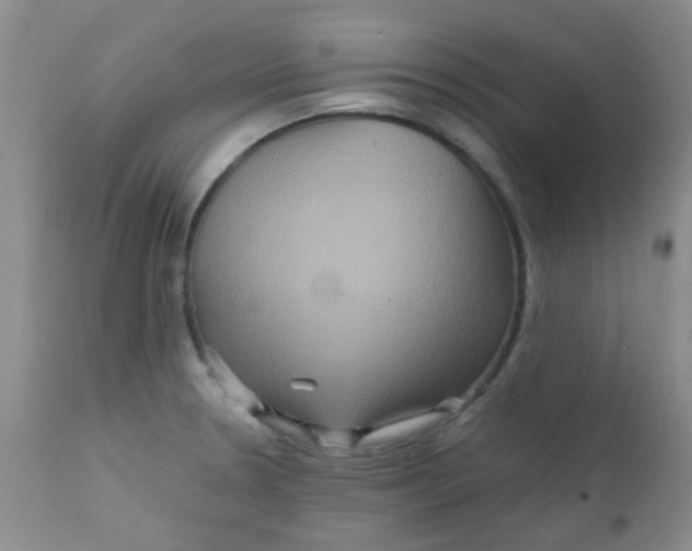 X0000111901330200908171229