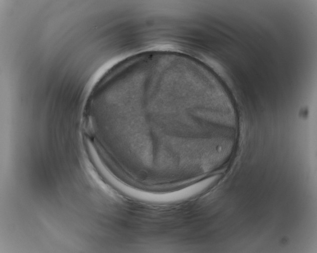 X0000111901331200908171229