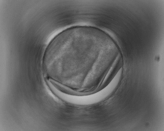 X0000111901335200908171229