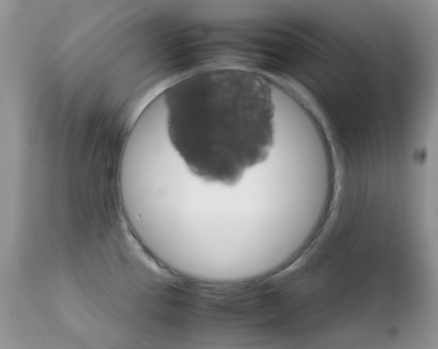 X0000111901337200908171229