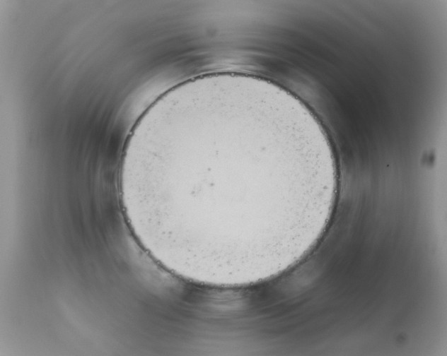 X0000111901338200908171229