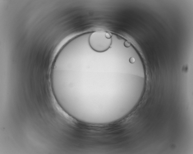 X0000111901339200908171230