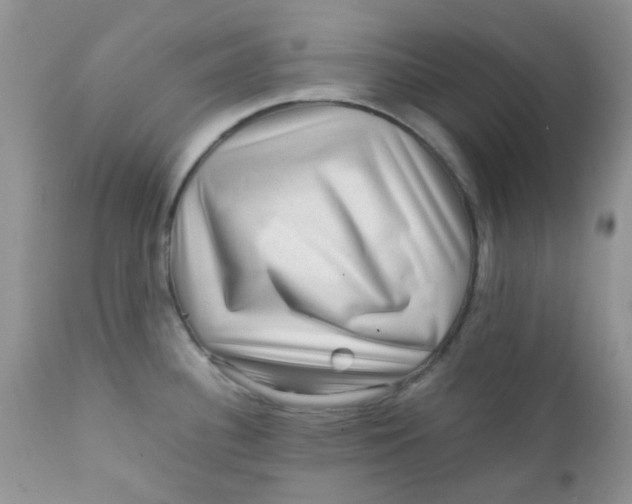 X0000111901340200908171230