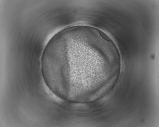 X0000111901341200908171230