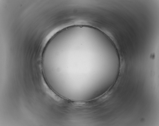 X0000111901342200908171230