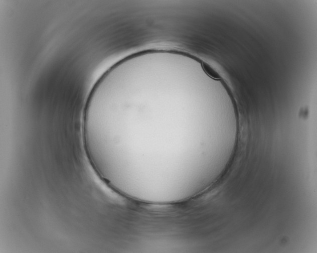 X0000111901343200908171230