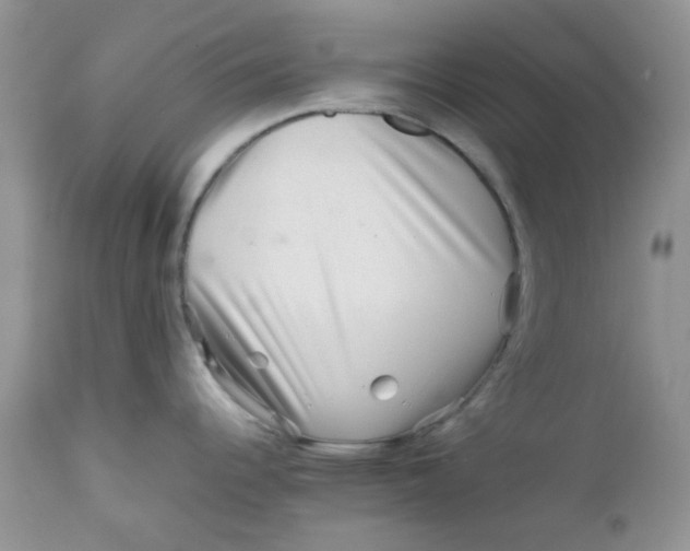 X0000111901344200908171230