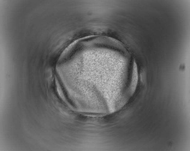 X0000111901347200908171229