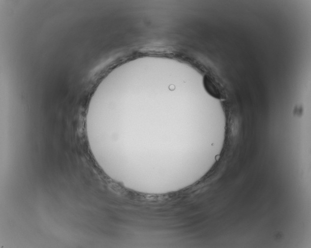 X0000111901350200908171229