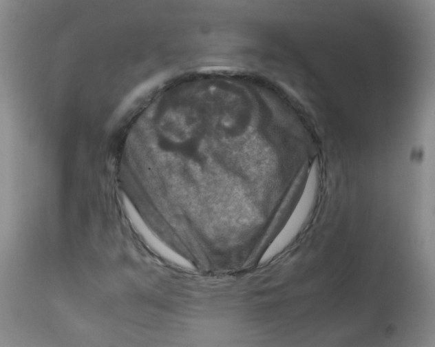 X0000111901351200908171229