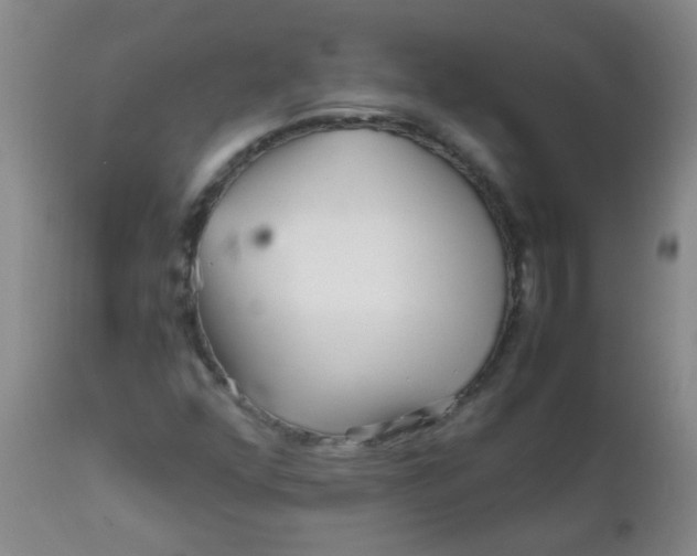 X0000111901352200908171229