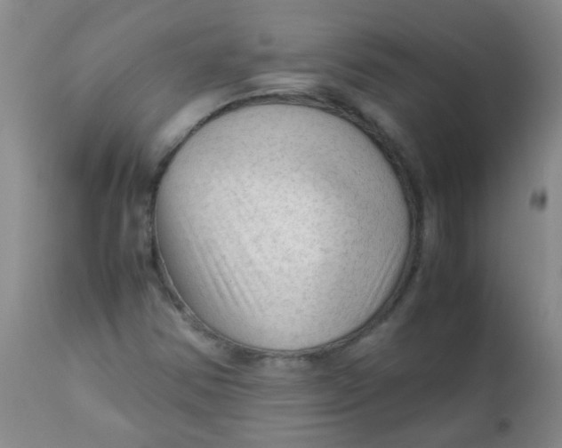 X0000111901354200908171229