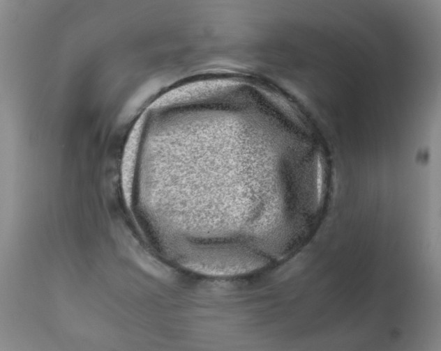 X0000111901355200908171229