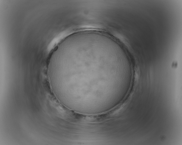 X0000111901357200908171228