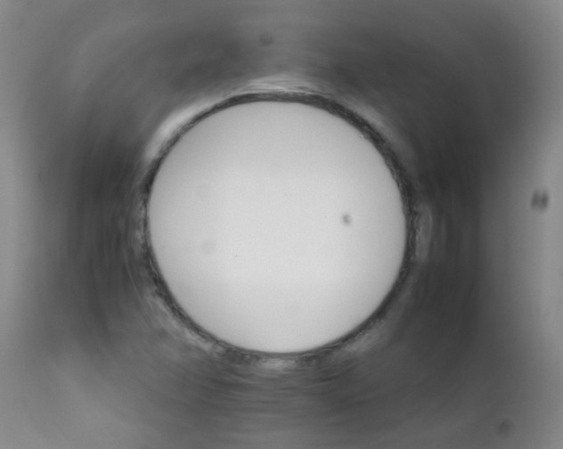 X0000111901358200908171228