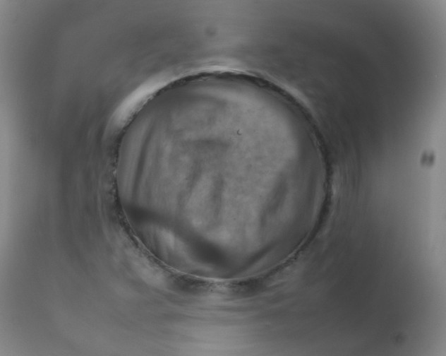 X0000111901359200908171228