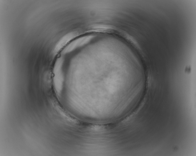 X0000111901362200908171228