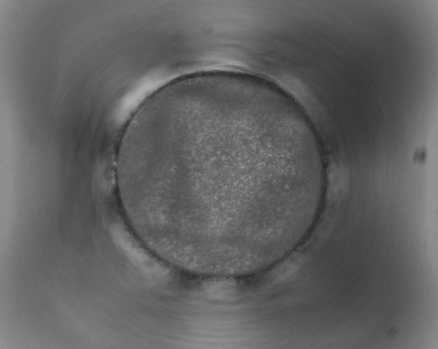 X0000111901363200908171228